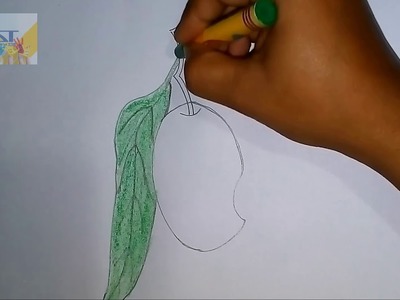 How to Draw Mango Step By Step Mango Drawing For Kids Mango Drawing Tutorial Fruit Drawing Lesson