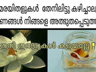 താമരയിതളുകൾ തേനിലിട്ടു കഴിച്ചു നോക്കൂ|Honey lotus recipe|PRARTHANA'S FOOD & CRAFT
