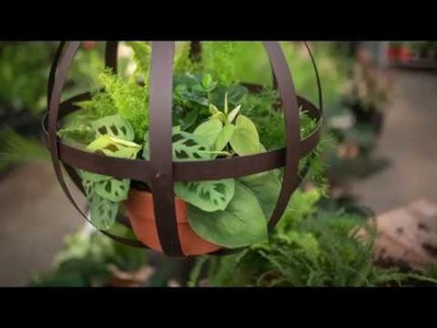 DIY Hanging Tropical Orb Planter ???? || West Coast Gardens