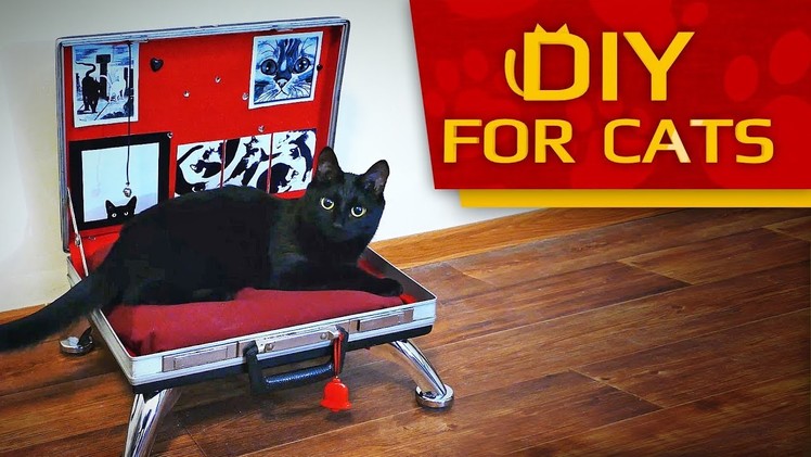 DIY - How to make Briefcase BED for CAT Easy & Fast