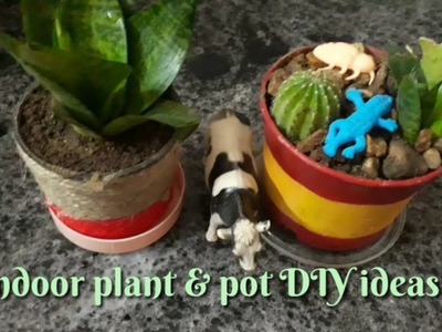 Snake plant benefits.indoor plants & pot diy ideas