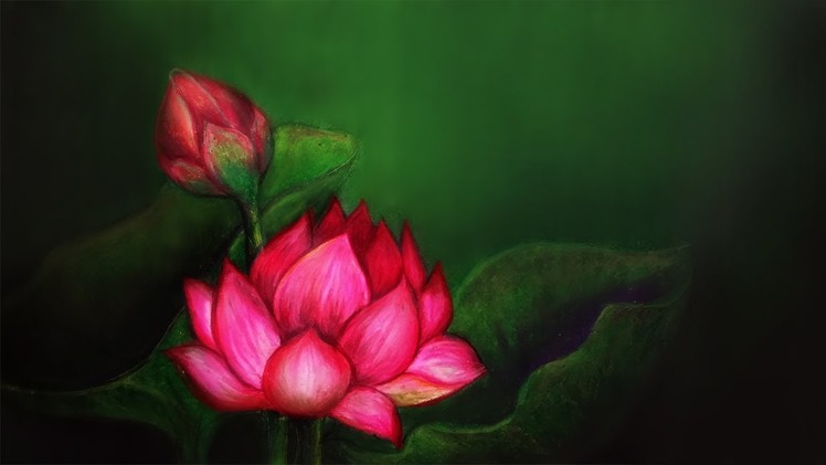 Easy oil pastel drawings lotus flower. how to draw flowers for beginners step by step
