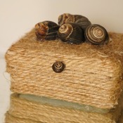 Sea Shell Sand Zen Garden Rope Box Desk Top Decor