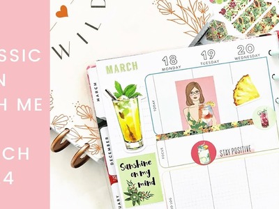 Classic Wellness Happy Planner Plan with Me - Surprz sticker pack