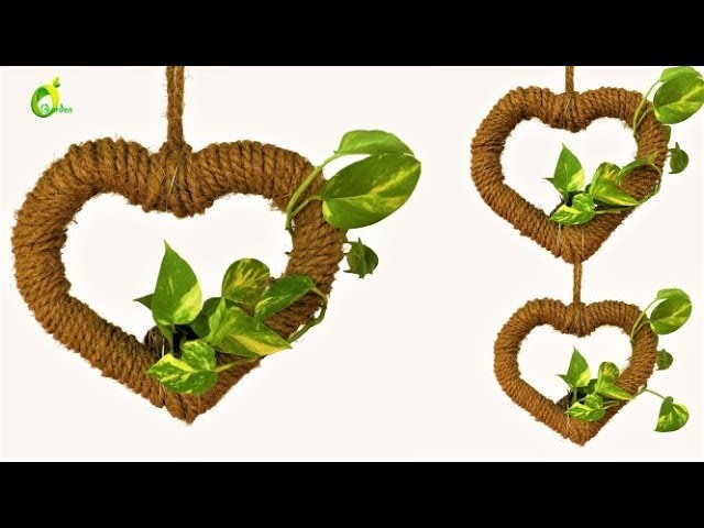 Money plants growing idea.money plant. coir rope ideas.organic garden