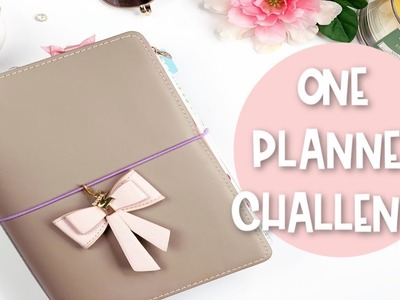 One Planner Challenge | Using Only One Planner For An Entire Month | E.Michelle