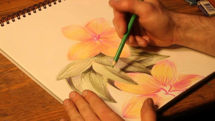 How to Draw Flowers With Colored Pencils