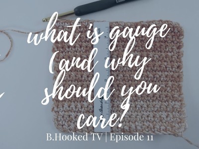 What is Gauge (and why should you care?) | B.Hooked TV Season 1, Episode 11