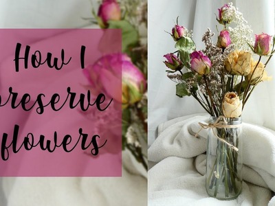 How I Preserve Flowers | dried & pressed flowers