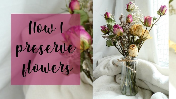 How I Preserve Flowers | dried & pressed flowers