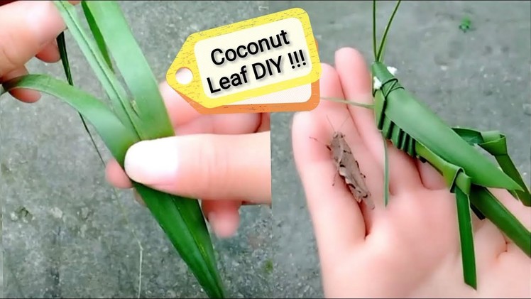 How to make a Coconut Palm Leaf Grasshopper for kids ⎮Simple Leaf creative art.craft DIY toys kids