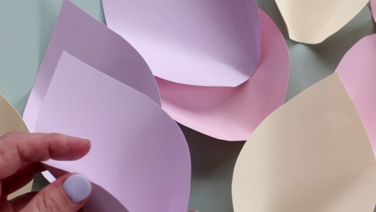 DIY Paper Flowers by Clever Poppy Short Video