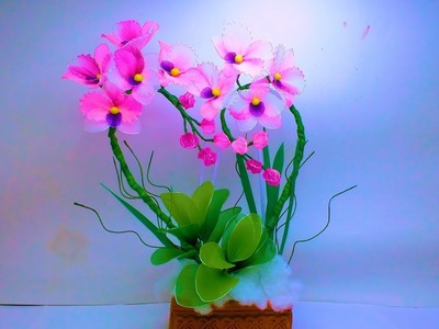 Love shape arrangement Best for Beginners DIY Orchids by TuberDiary