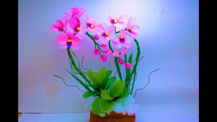 Love shape arrangement Best for Beginners DIY Orchids by TuberDiary