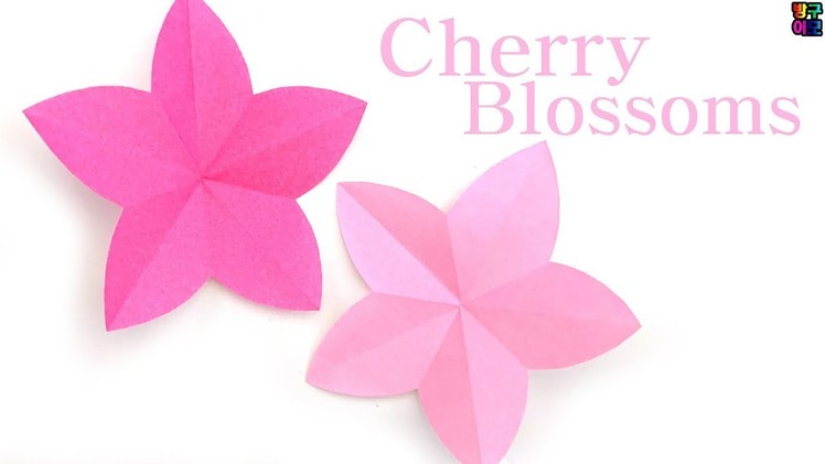 Origami Flower Origami Cherry Blossom Fun and Easy Origami