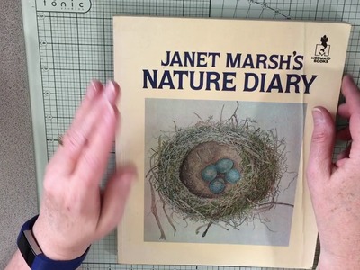 Nature Junk Journal Part #1