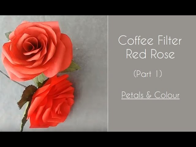 Coffee Filter Red Rose - Part 1.3 - Petals & Colour