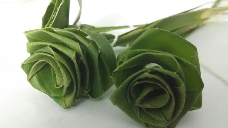 Making of Green Rose from Coconut Leaf | DIY Crafts | DIY Ideas