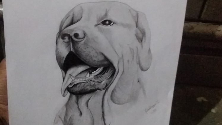How to draw a Dog???? || Abhinav Semwal Art