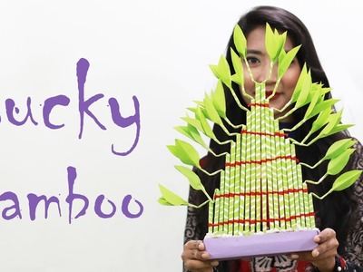 Lucky Bamboo Plant | Bamboo Plant | Lucky Plants | Bamboo Plants | Bamboo Paper Crafts | EP23