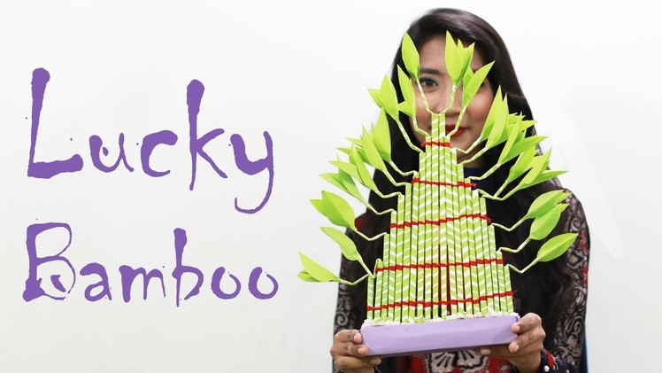 Lucky Bamboo Plant | Bamboo Plant | Lucky Plants | Bamboo Plants | Bamboo Paper Crafts | EP23