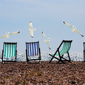 Sea Gulls And Deck Chairs Cross Stitch Pattern