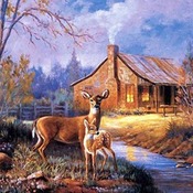 ( CRAFTS ) Natures Wonder Deer Cross Stitch Pattern***LOOK***Buyers Can Download Your Pattern As Soon As They Complete The Purchase