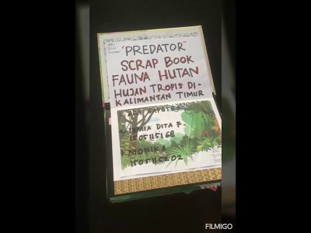 Scrapbook Fauna Hutan Hujan Tropis Kalimantan Timur ( Kelompok Predator )