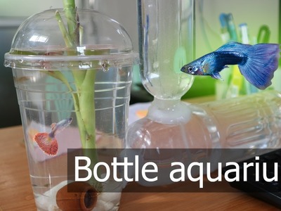 How To Make Bottle + Coffee Cup Aquarium Very Easy