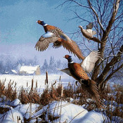 CRAFTS Pheasents In Flight Cross Stitch Pattern***LOOK***Buyers Can Download Your Pattern As Soon As They Complete The Purchase