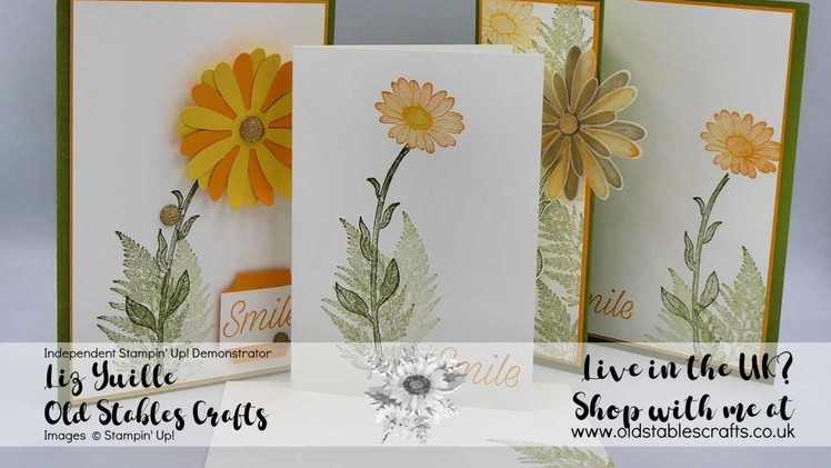All New Daisy Lane Meets #SimpleStamping Saturday and FREE Stuff!!