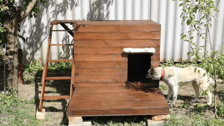 How To Build A Dog House