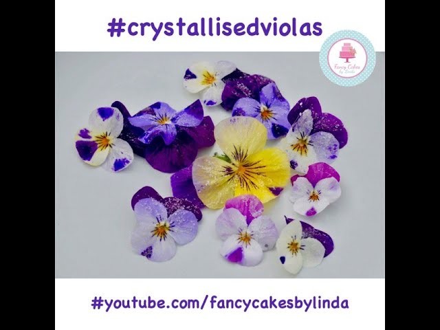 How to Crystallise Crystallize Edible Viola Spring Flowers Step by Step Tutorial
