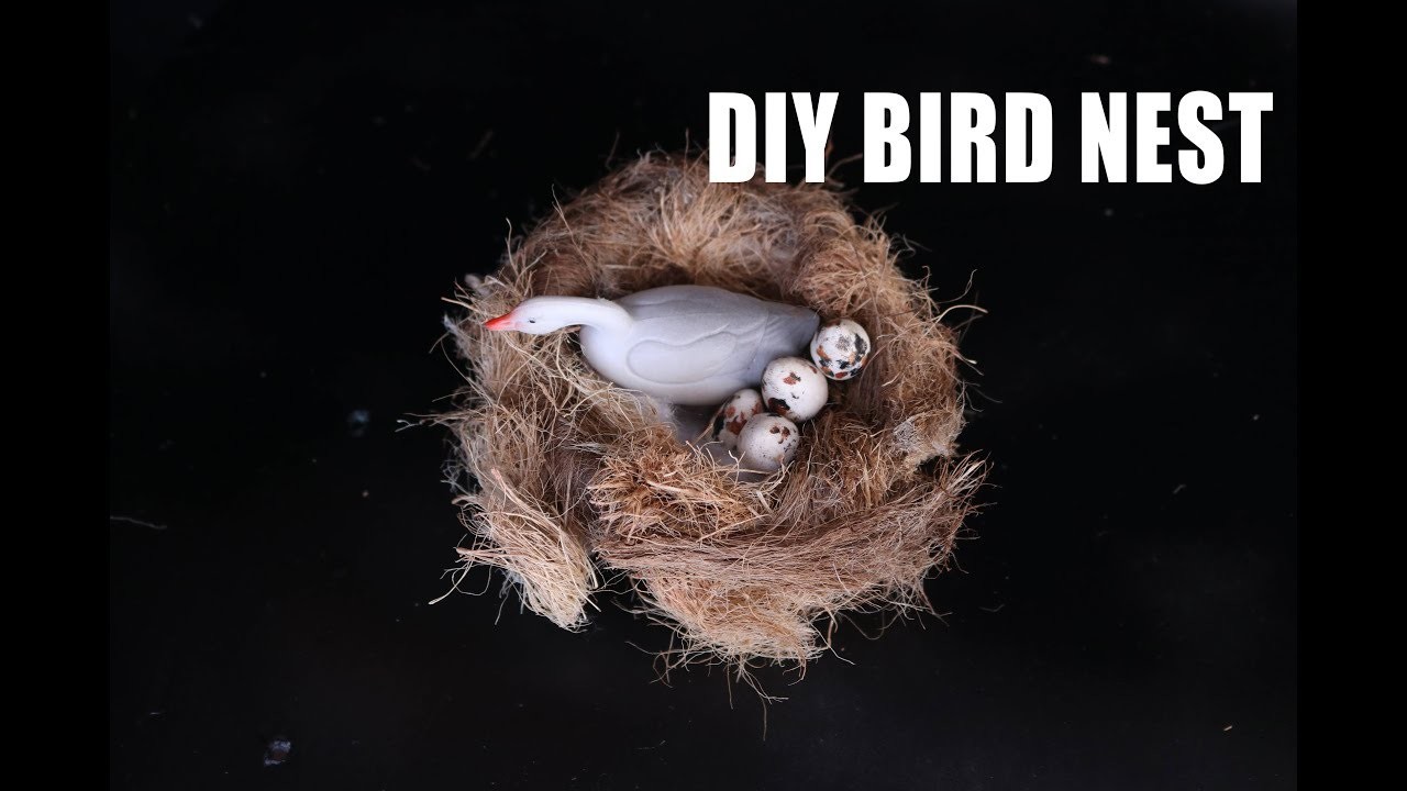 How To Make Bird Nest In few Minutes, Bird Nest House School Project, 