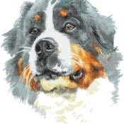 Counted Cross Stitch pattern watercolor pet dog 167 * 186 stitches CH1972