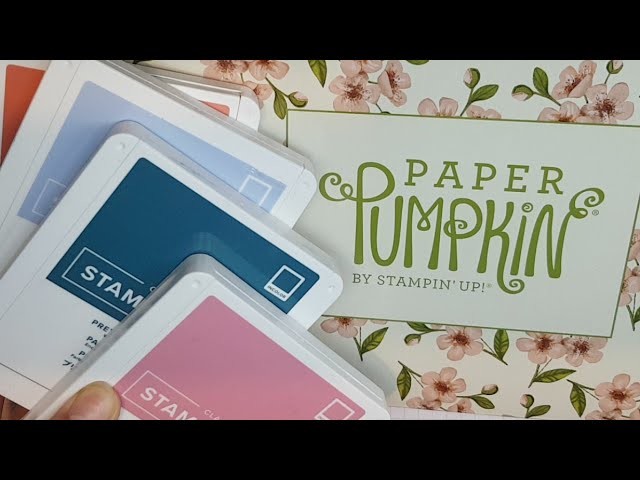 {LIVE Using stamps from Paper Pumpkin to make Cards}
