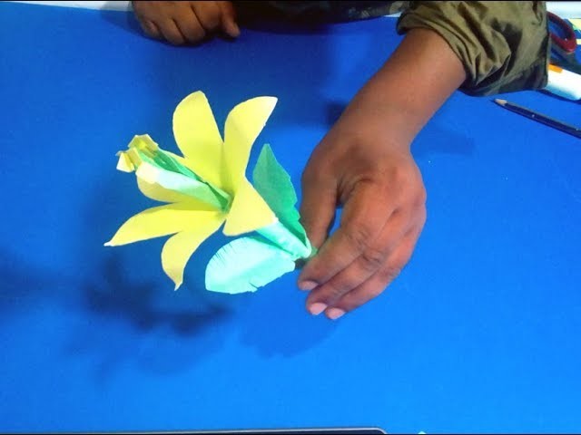 ????"Paper Flower" make new idea⋙Different Tube Media
