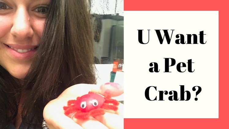 Crab Seashell Craft Video. DIY Crafts by EconoCrafts