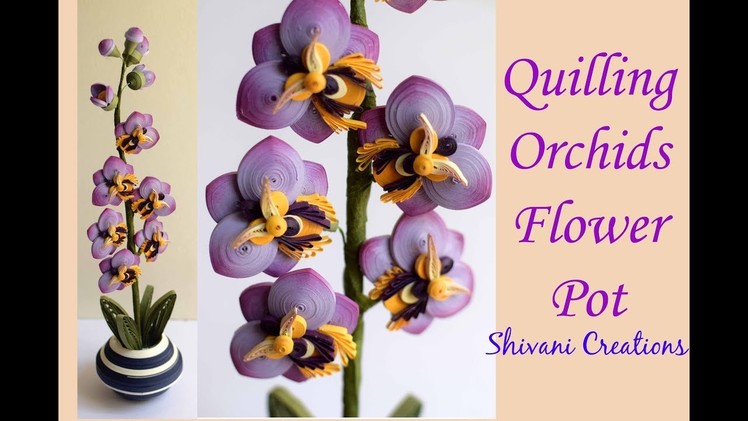 Quilling Orchids Flower Pot. Quilled Orchid Flowers. 3D Quilling