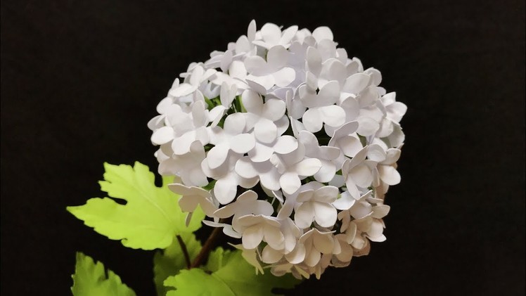 ABC TV |  How To Make Snowball Viburnum Paper Flower - Craft Tutorial