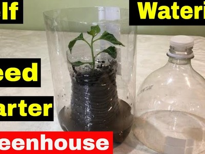 How to Make Self Watering Seed Starter Greenhouse DIY