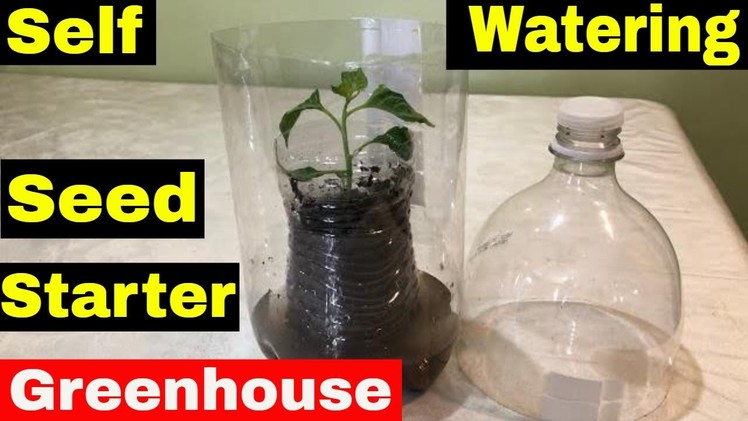 How to Make Self Watering Seed Starter Greenhouse DIY