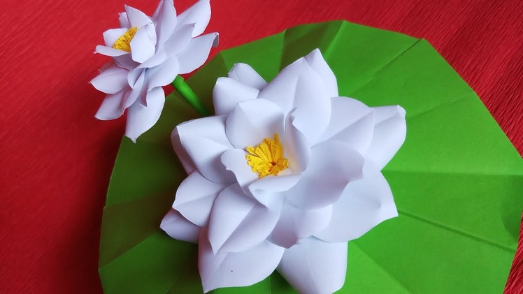 DIY | White Lotus Paper: Flower cutting and paste | papercraft | Flower projects