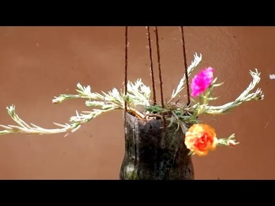 How to Grow Moss Rose Cuttings in Hanging Plastic Bottles