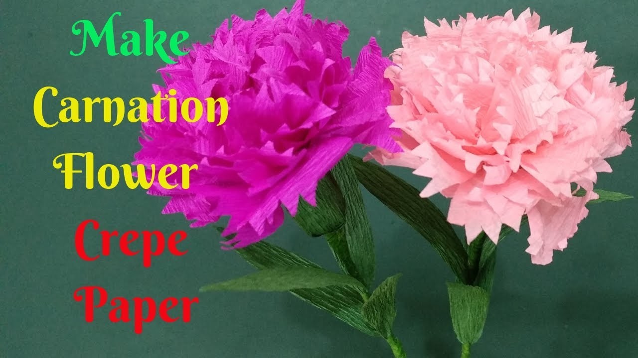 Instructions For Making Red Carnations From Crepe Paper | How To Make Carnation Crepe Paper Flower