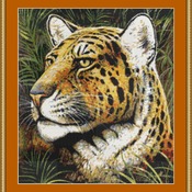 Spotted Beauty Cross Stitch Pattern