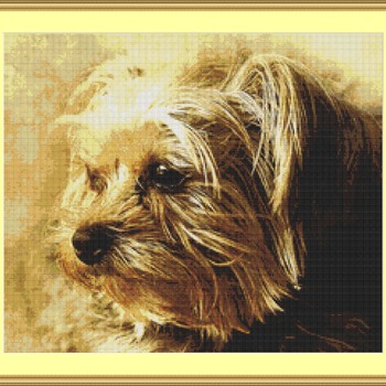 A Yorkshire Terrier Cross Stitch Pattern