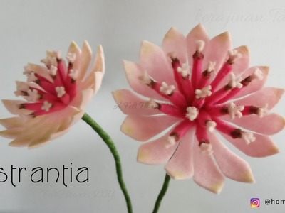 Felt Flowers DIY - How to Make Astrantia Felt Flower - Tutorial Felt #DIY