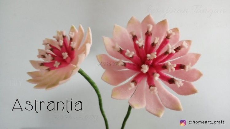 Felt Flowers DIY - How to Make Astrantia Felt Flower - Tutorial Felt #DIY