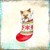 Kitten In Christmas Stocking Cross Stitch Pattern